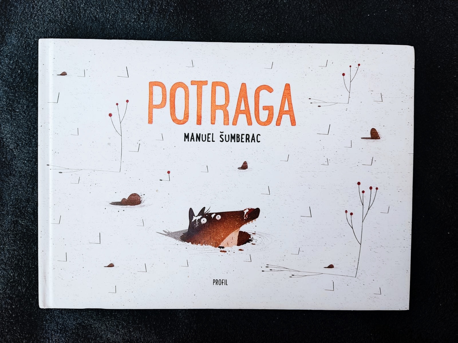 Potraga